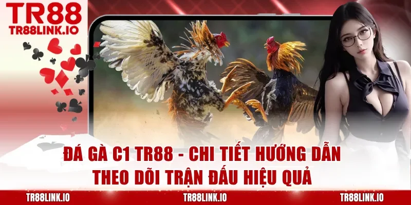 Đá Gà C1 TR88 - Cập Nhật Luật Tham Gia Và Mẹo Chơi Hiệu Quả Nhất