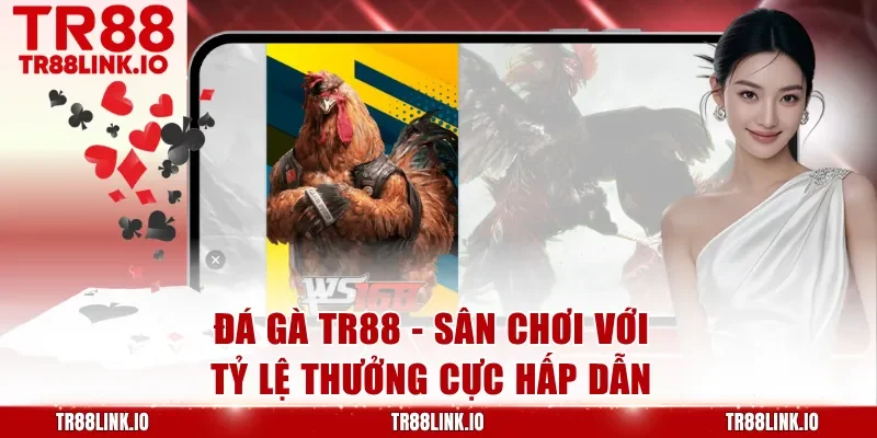 Đá Gà TR88 - Sân Chơi Với Tỷ Lệ Thưởng Cực Hấp Dẫn
