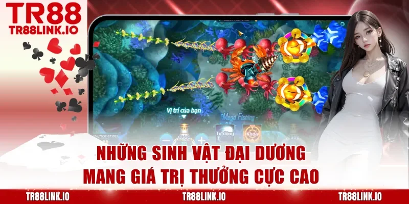 Những sinh vật đại dương mang giá trị thưởng cực cao