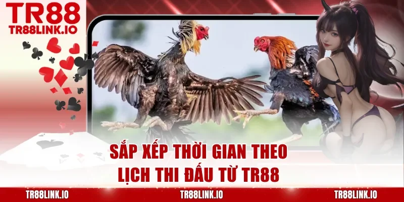 Sắp xếp thời gian theo lịch thi đấu từ TR88