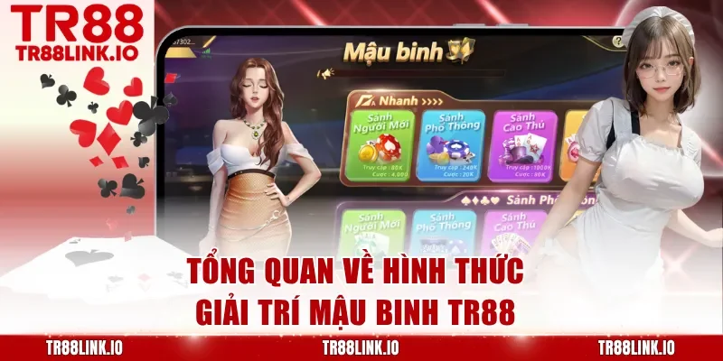 Tổng quan về hình thức giải trí Mậu Binh TR88